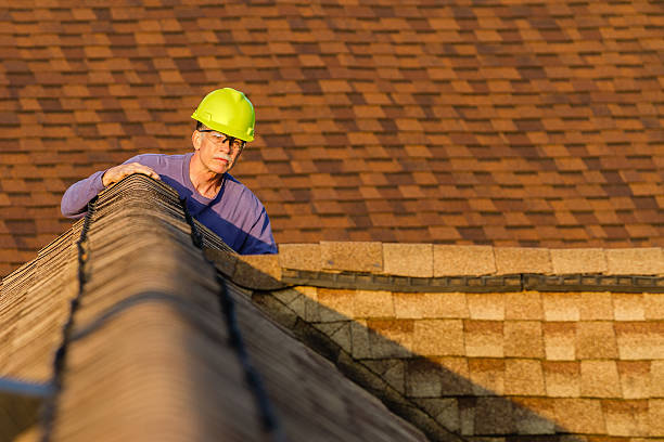 Roof Gutter Cleaning in Van Vleck, TX